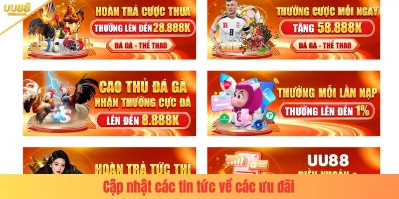 Cập nhật các tin tức về các ưu đãi